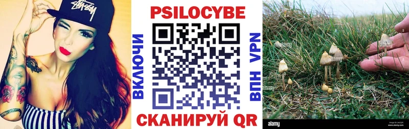Псилоцибиновые грибы мицелий  Энем 